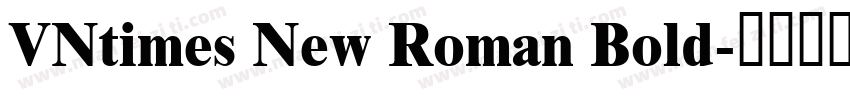 VNtimes New Roman Bold字体转换